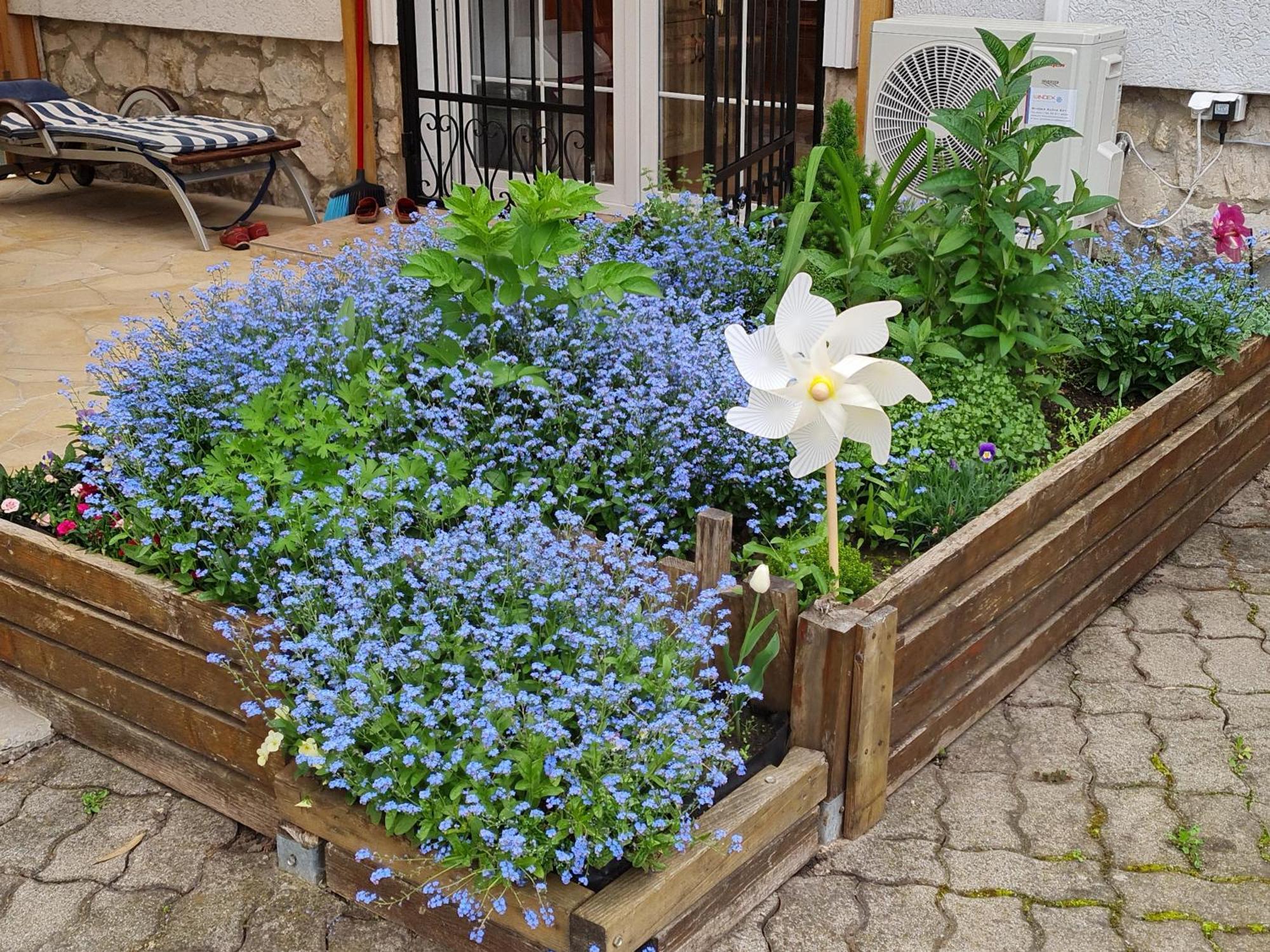 Ginger House Apartment Keszthely Esterno foto